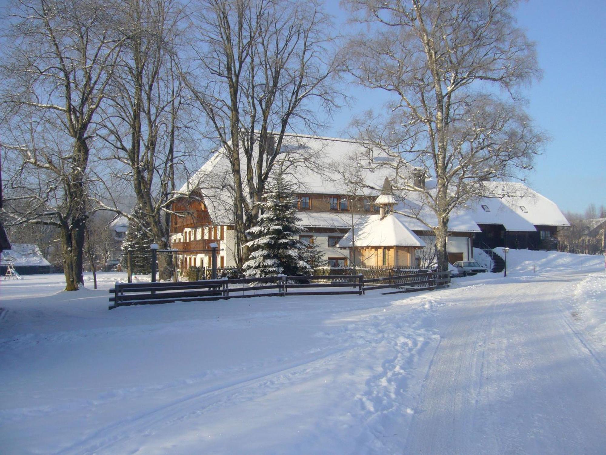 Hermeshof Und Biohaus Titisee-Neustadt Kültér fotó
