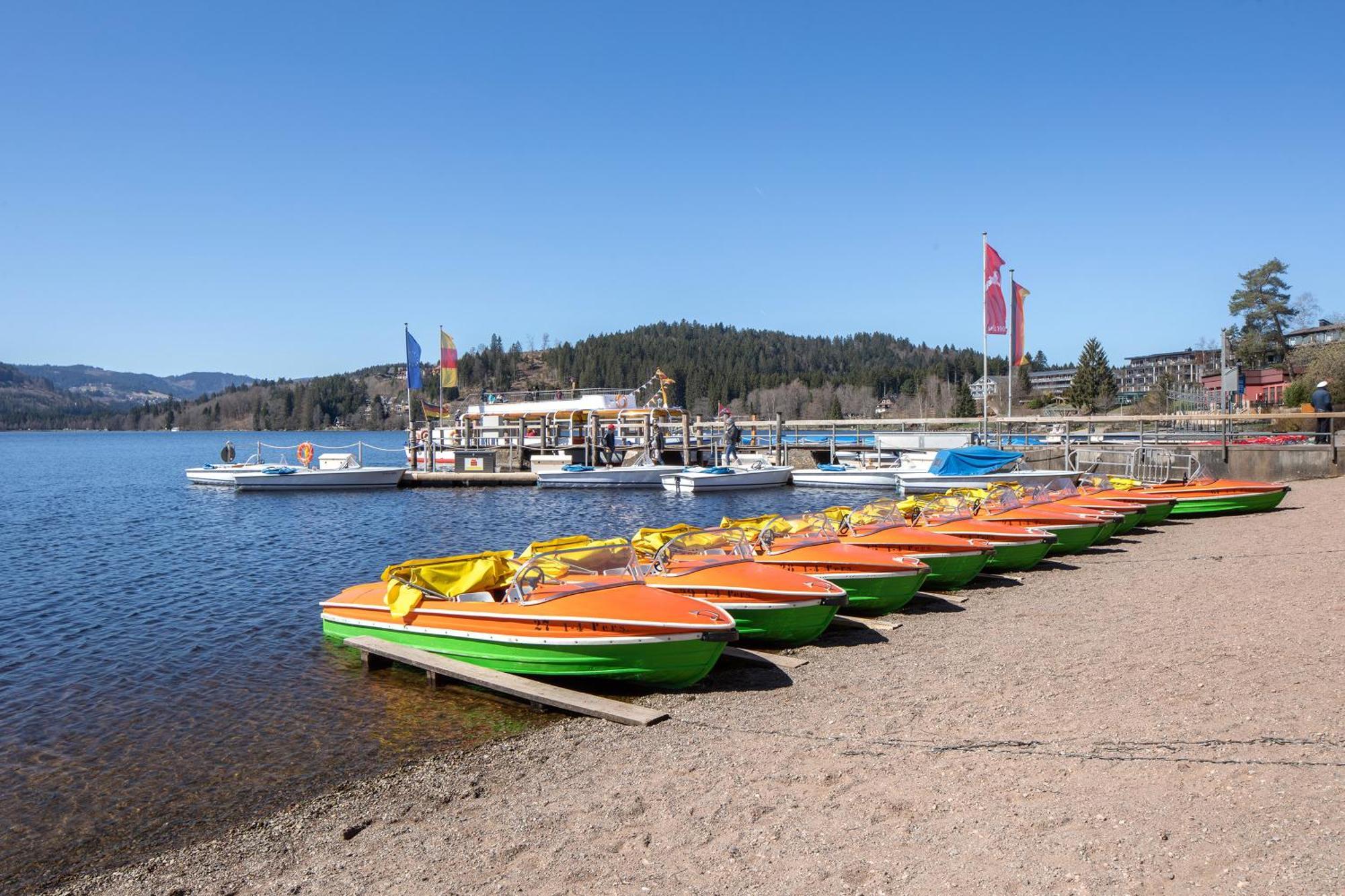 Hermeshof Und Biohaus Titisee-Neustadt Kültér fotó